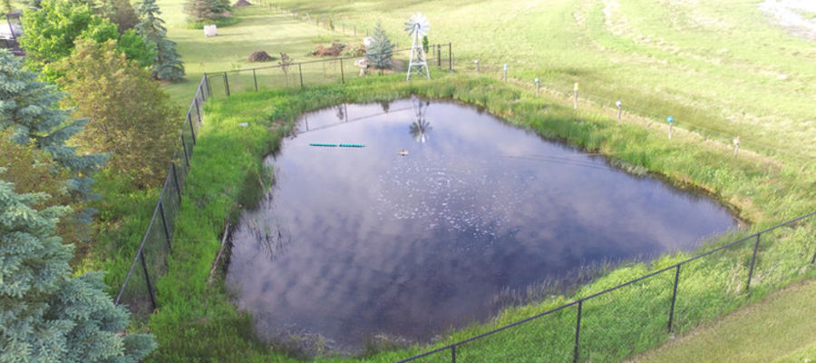 Common Myths About Pond Aeration