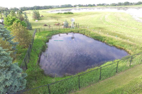 Common Myths About Pond Aeration