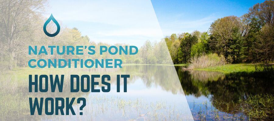 How Nature's Pond Conditioner work?