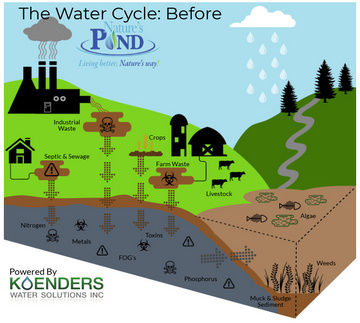 Pollution entering the fresh water cycle