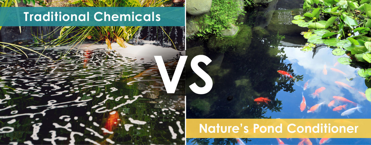 <b>Traditional Chemicals VS Nature's Pond Conditioner</b>
